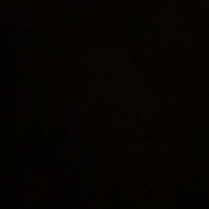 Meet your Posher, Paul